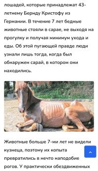 Несколько лет. 

Зачем? Пох.изм. 

Вот, один из примеров. 
А так, в инете посмотрите, не единичный случай.