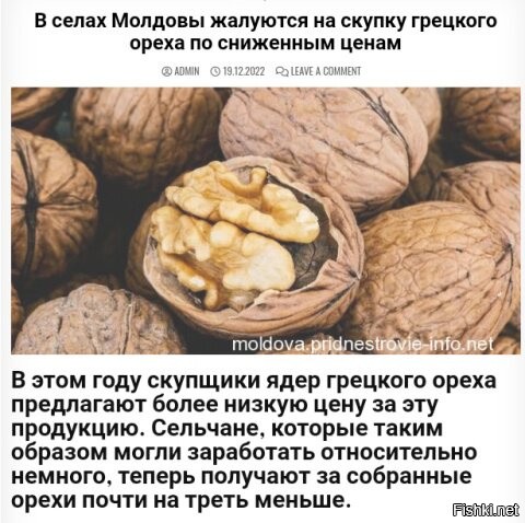 "После длительной стагнации в Молдове подорожало ядро грецкого ореха