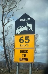 15 абсурдных запрещающих знаков и табличек