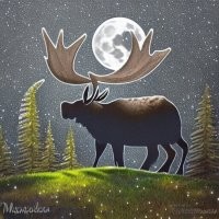 Ну и я поиграл... Так себе результат ...
слова в строке "moose in moon"