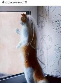 Фотоприколы и&nbsp;прикольные картинки