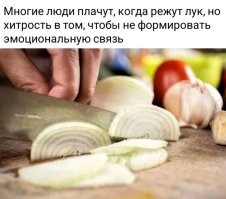 15 неожиданных фактов о еде, которые могут утолить вашу жажду знаний