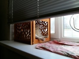 Вижу пост про котеек, сразу ставлю плюсик 
Мыгкие лапки, а в лапках царапки. :)
Вот взрослый, не молодой уже,  мужик, а умиляюсь. Ну, я с детства кошатник...
На фото мой нынешний зверюга.