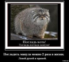 вспоминается