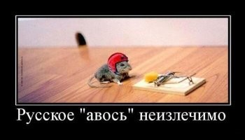 Фотоприколы и&nbsp;прикольные картинки