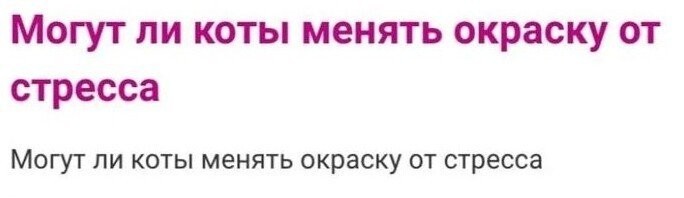 Что она делала с котом ???
