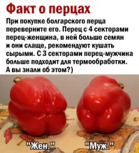 Где-то сейчас в истерике бьётся и рыдает ботаник. Нет у плодов ни девочек, ни мальчиков. Ни у арбузов, ни у яблок, ни у перцев и огурцов!!!