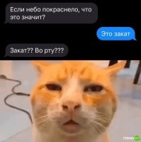 Вот как раз для таких дятлов и придумали букву "Ё"