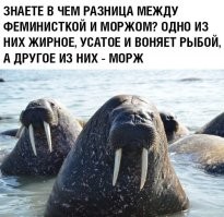 Как одним вопросом поставить феминисток в тупик