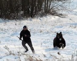 Вошедшие в историю ретро-фото с участием животных