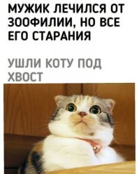 Небольшая подборка картинок для поднятия настроения