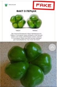 Фотоприколы и&nbsp;прикольные картинки