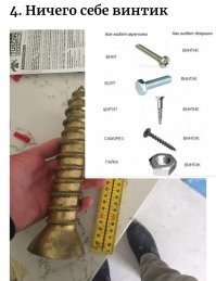 17 вещей, чей размер можно понять только в сравнении