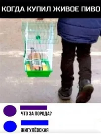 Батя сказал купить заготовку для кормушки.