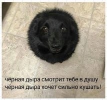 Фотоприколы и&nbsp;прикольные картинки