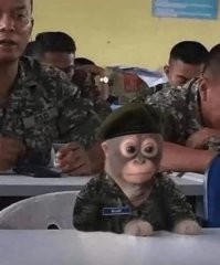 Отличник боевой и политической подготовки!