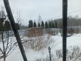 Вот они зиму не сожгли, а у нас метель началась.