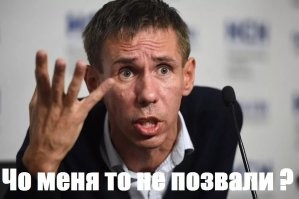 Уличные псы развлекаются по полной программе