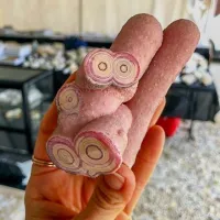 Автор,откуда ты знаешь,как выглядит инопланетный паразит?