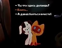 Женщина всю жизнь боялась собак, пока не встретила пса, который боялся людей