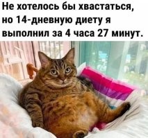 Фотоприколы и&nbsp;прикольные картинки