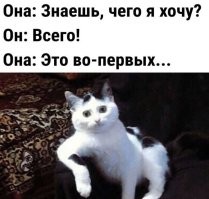 Комментарии и картинки из соцсетей. Свежак за 26 февраля