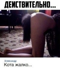 Фотоприколы и&nbsp;прикольные картинки