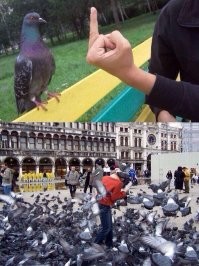 Фотоприколы и&nbsp;прикольные картинки