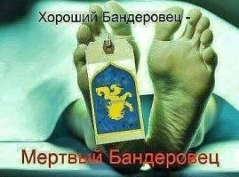 К подбитому русскому танку, установленному украинцами в Берлине, жители Германии несут цветы