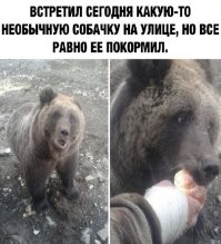 18 интересных штуковин, которые были случайно обнаружены в горах