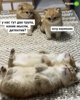 В фильмах они всё время кофе хотят
