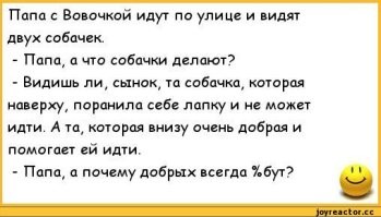 Коварный пёс воспользовался моментом на военных учениях