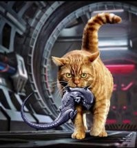 Актриса Сигурни Уивер с кошкой во время съёмок "Чужого", 1979)))))