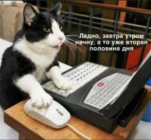 Фотоприколы и&nbsp;прикольные картинки