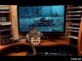 7 дней: эффектный косплей девочки из «Звонка»