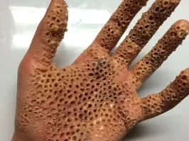 Ловите, коллеги