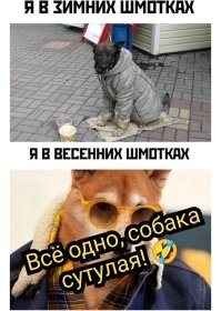 Фотоприколы и&nbsp;прикольные картинки