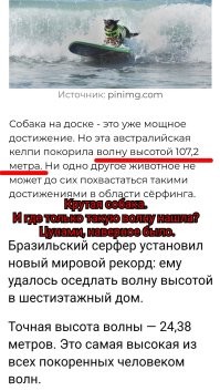 Это очень странные мировые рекорды