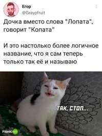 У меня племянник называл ворону - "карона"