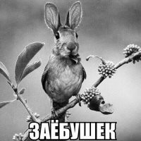 Я за позитивный юмор)