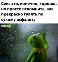Это Питер, детка. Ближайший сухой асфальт - в Бергамо