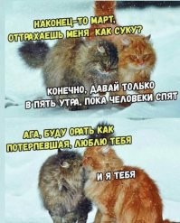 День без пакостей – время на ветер