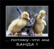Народ, вас не задолбало ещё, что неформальную группировку анимешников громко называют "ЧВК"? Если они - ЧВК, то я - Президент Австралии.