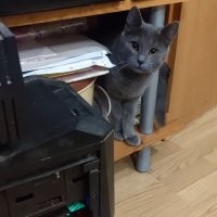 Бомж с помойки)
0р