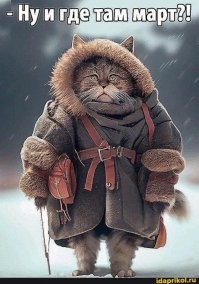 Комментарии и картинки из соцсетей. Свежак за 28 февраля