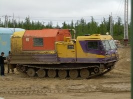 1. Животные тут очень смелые.
2, 3 Транспорт бывает зимний и летний