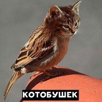 Несерьёзный пост о скрещивании животных