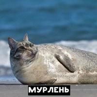 Несерьёзный пост о скрещивании животных