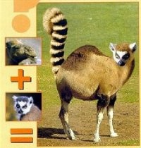 Несерьёзный пост о скрещивании животных