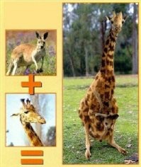 Несерьёзный пост о скрещивании животных